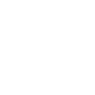 Bhim Logo